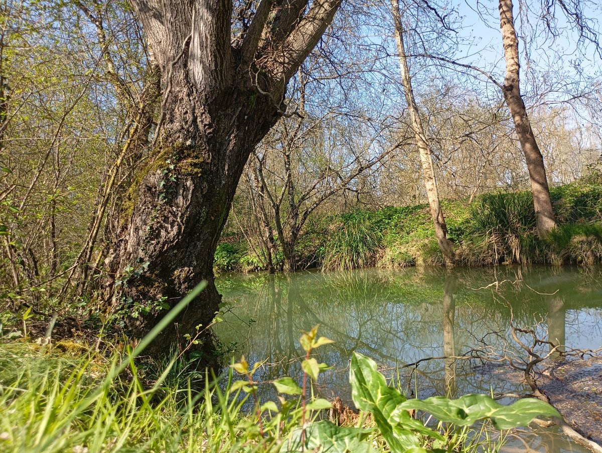 la rivière au Moulin d'Escapat